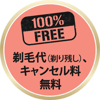 お得なセット定期コースを注文する